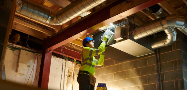 Best Dryer Vent Cleaning Services  in Wellston, MO