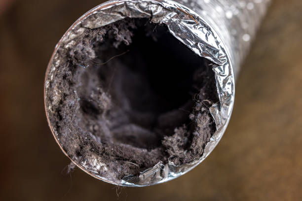 Best Commercial Air Duct Cleaning  in Wellston, MO
